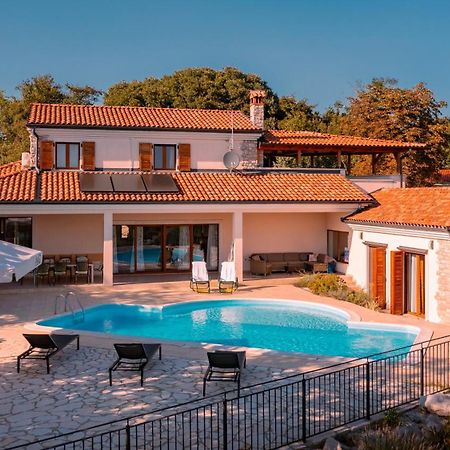 Villa Arton Heated Swimming-Pool Zminj Экстерьер фото