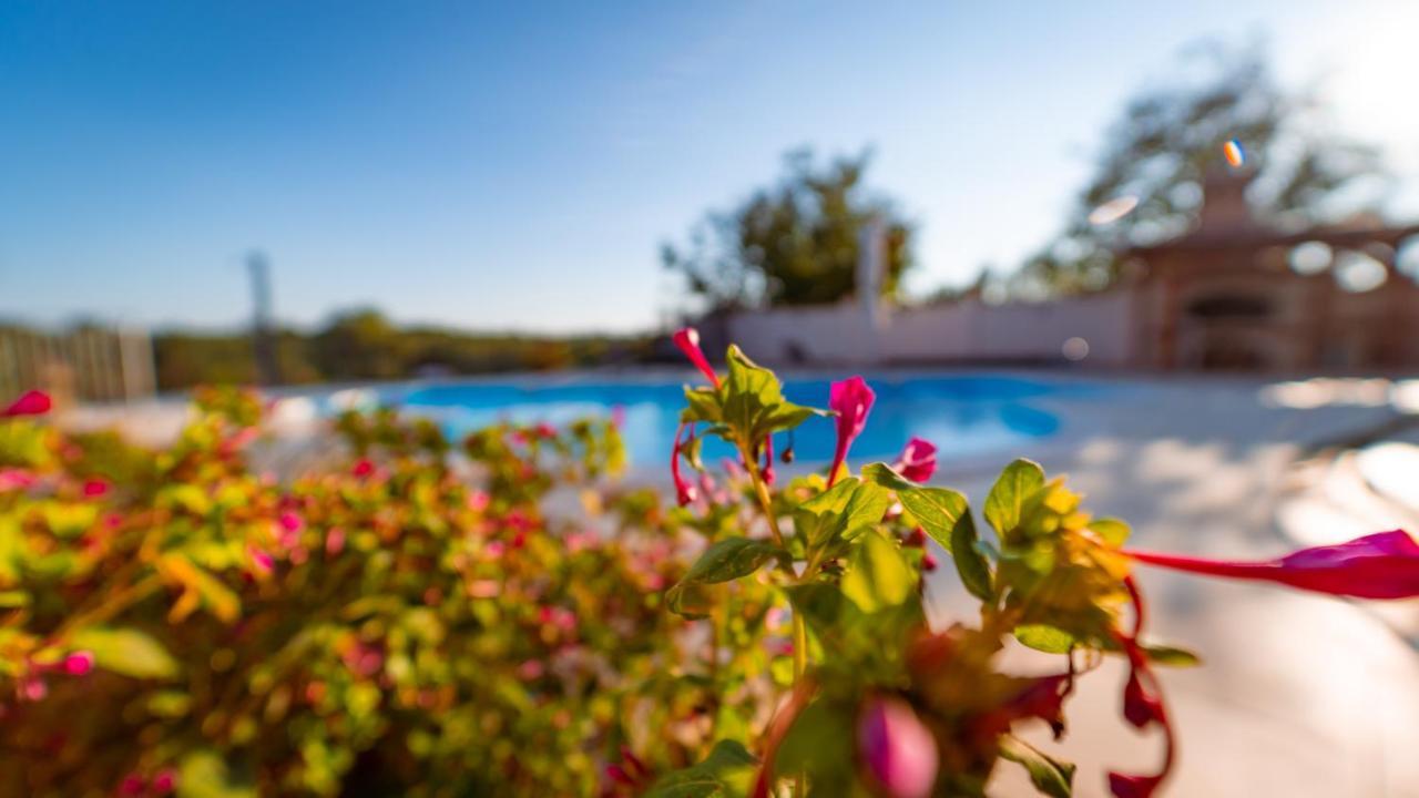 Villa Arton Heated Swimming-Pool Zminj Экстерьер фото