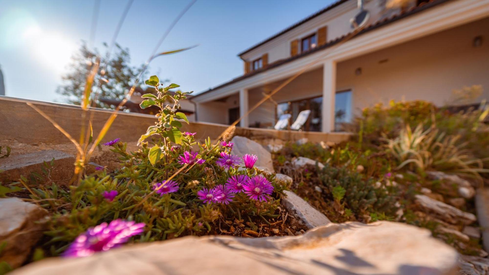 Villa Arton Heated Swimming-Pool Zminj Экстерьер фото